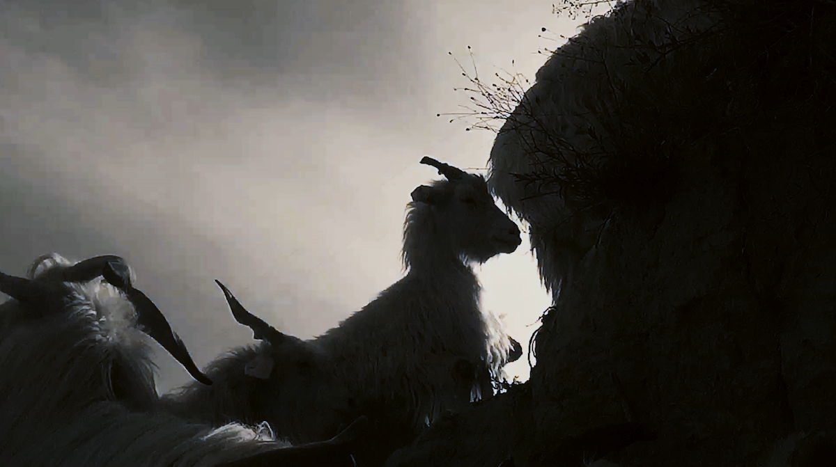 1785482203459000.png 《游神考》(2019 导演黎小锋 贾恺)剧照1.png